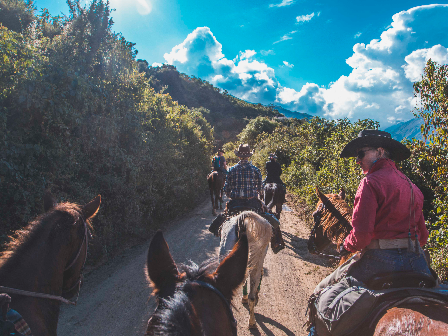 Ride to Machu Picchu, Peru 